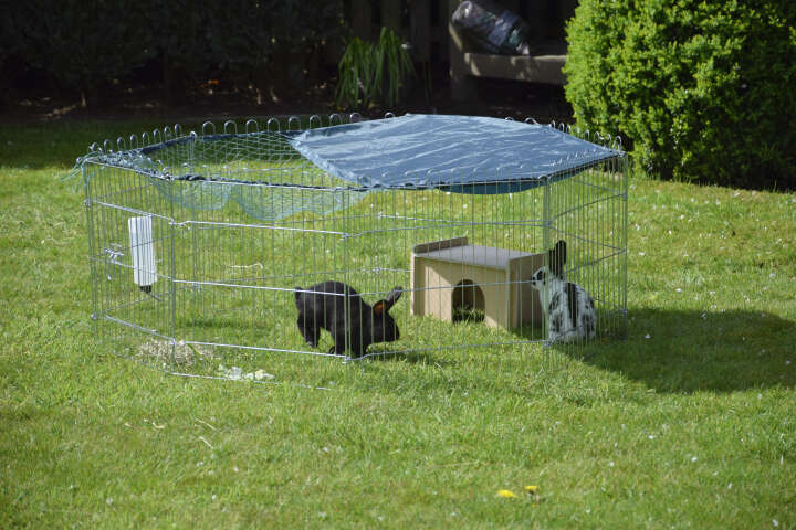 dobar Freilaufgehege